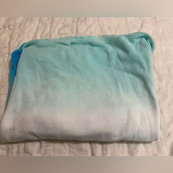 Walt disney world ombre retro sweatshirt L disney parks blues - Picture 7 of 8